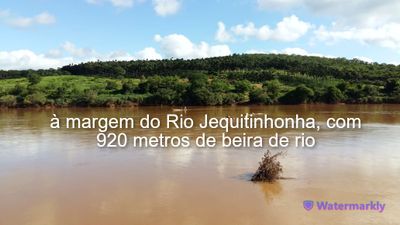 Fazenda, 144 hectares - Foto 3