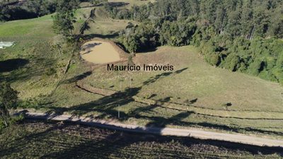 Terreno, 3 hectares - Foto 1