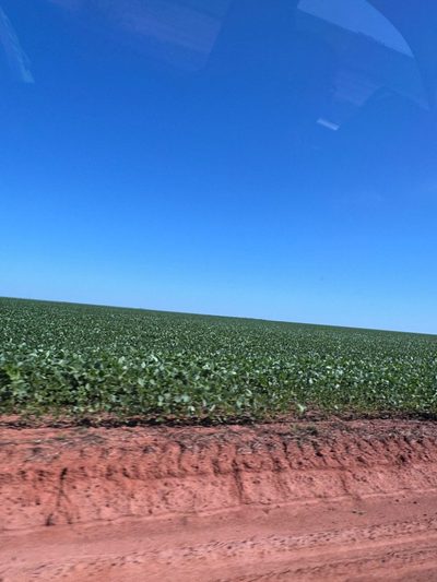 Fazenda - Foto 1