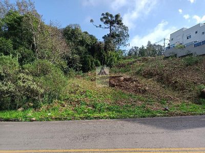 Terreno, 374 m² - Foto 4