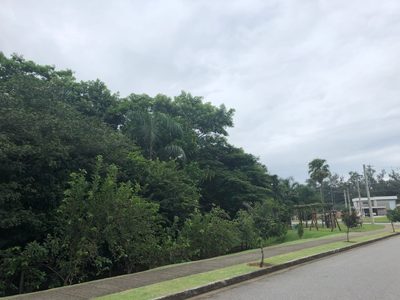 Terreno, 720 m² - Foto 5