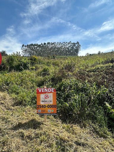 Terreno, 6 hectares - Foto 1
