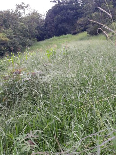Chácara - Foto 1