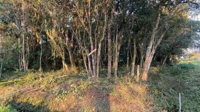 Terreno, 125 m² - Foto 3
