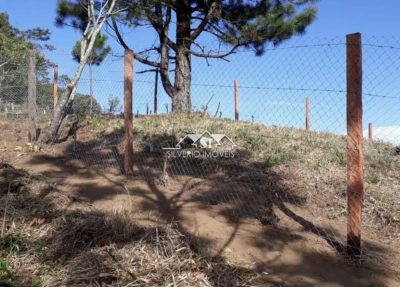 Terreno, 890 m² - Foto 3