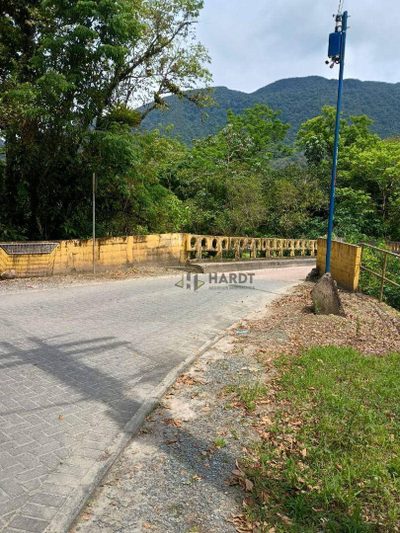 Terreno, 4 hectares - Foto 4