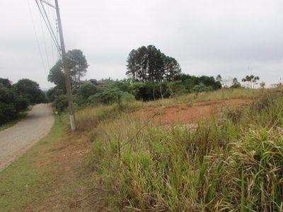 Terreno, 5000 m² - Foto 1