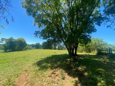 Chácara, 4 hectares - Foto 4