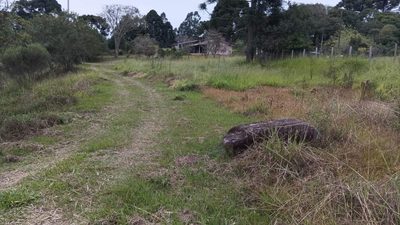 Fazenda, 6000 m² - Foto 5