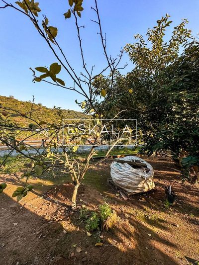 Chácara, 3 quartos, 3000 m² - Foto 3