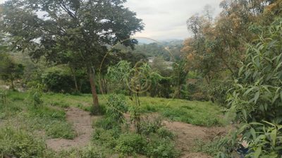 Terreno, 1000 m² - Foto 4
