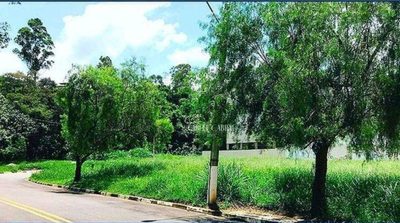 Terreno, 300 m² - Foto 3
