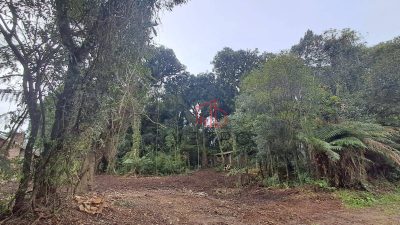 Terreno, 908 m² - Foto 1