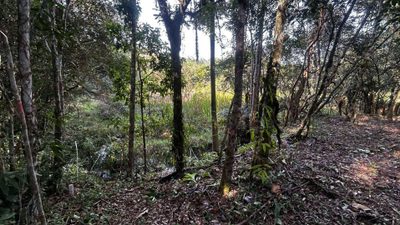 Terreno, 5000 m² - Foto 2
