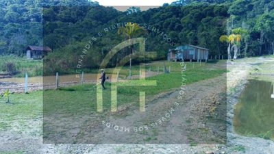 Chácara, 2 quartos, 4160 m² - Foto 4