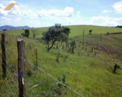 Terreno, 7000 m² - Foto 4