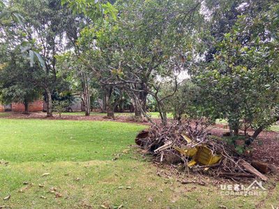 Chácara, 1 quarto, 1 hectares - Foto 4
