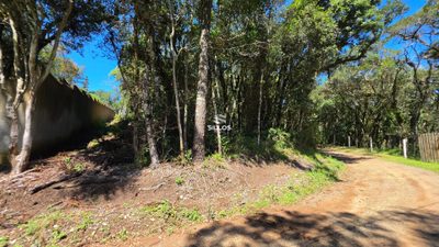 Terreno, 2500 m² - Foto 4