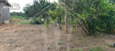 Casa, 3 quartos, 11000 m² - Foto 5