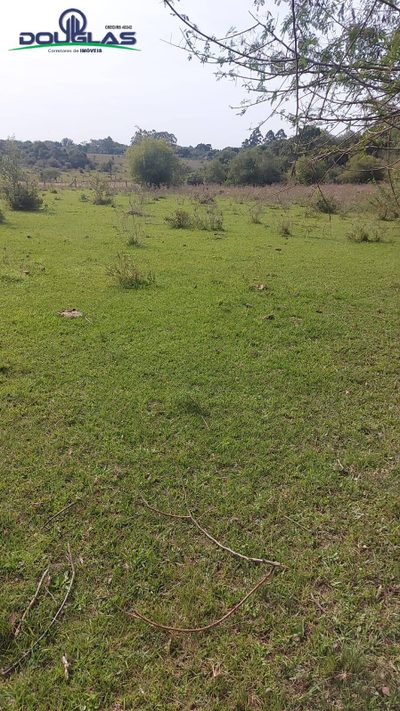 Terreno, 4 hectares - Foto 5