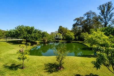 Terreno, 568 m² - Foto 5