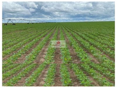 Fazenda, 4800 m² - Foto 4