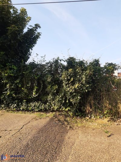 Terreno, 341 m² - Foto 4