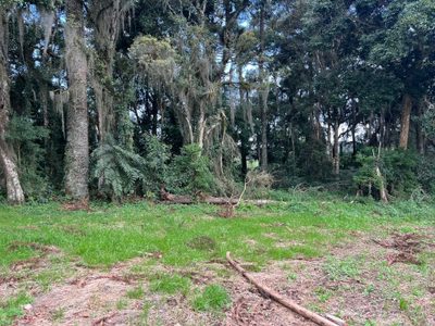 Terreno, 2 hectares - Foto 3