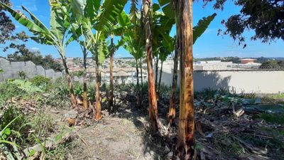 Terreno, 360 m² - Foto 3