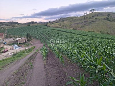 Terreno, 1 hectares - Foto 2
