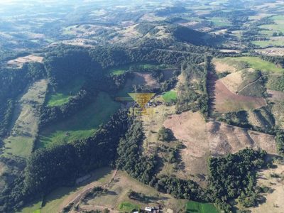 Sítio, 2 hectares - Foto 4