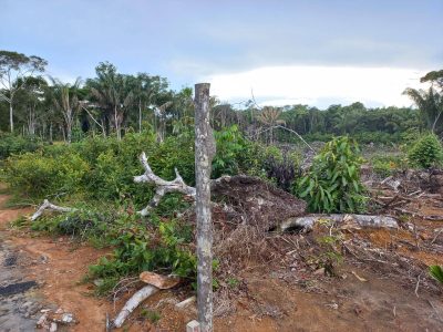 Terreno, 1000 m² - Foto 3