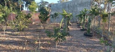 Chácara, 2 quartos, 4000 m² - Foto 4