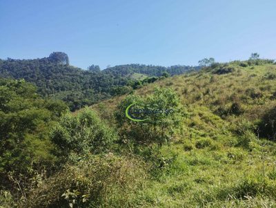 Sítio, 61 hectares - Foto 4