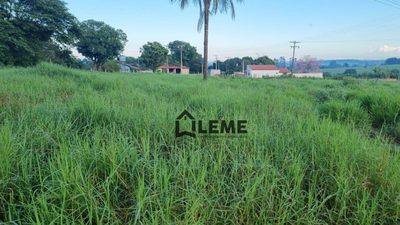 Sítio, 51 hectares - Foto 4