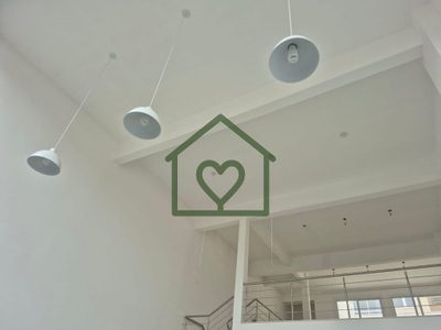 Loja-Salão, 246 m² - Foto 4