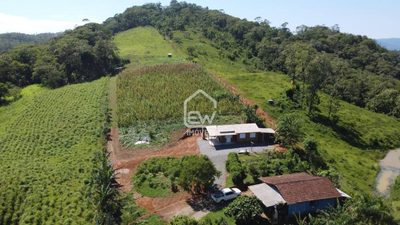 Sítio, 3 quartos, 3 hectares - Foto 2