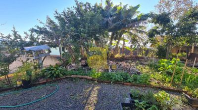 Casa, 5 quartos, 254 m² - Foto 4