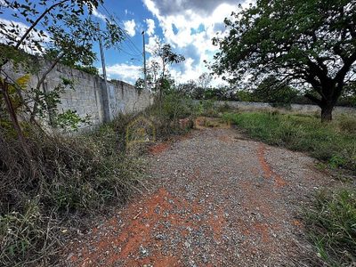 Terreno, 1000 m² - Foto 3