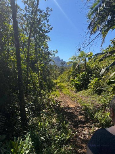 Terreno, 4 hectares - Foto 3