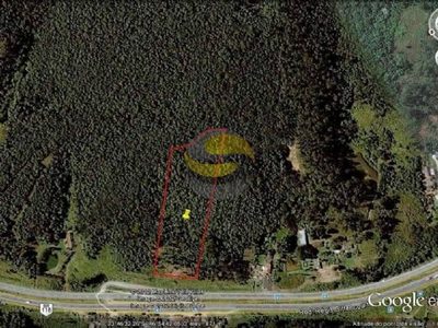 Terreno, 2 hectares - Foto 4