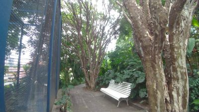 Casa, 2 quartos, 332 m² - Foto 5