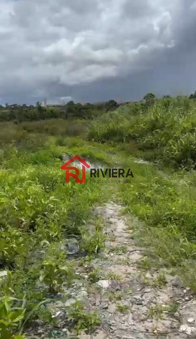 Loteamento e Condomínio, 1 hectares - Foto 3