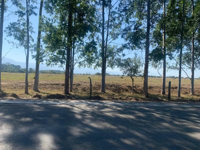 Terreno, 233 m² - Foto 5