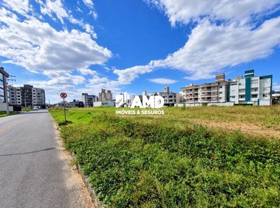 Terreno, 435 m² - Foto 5