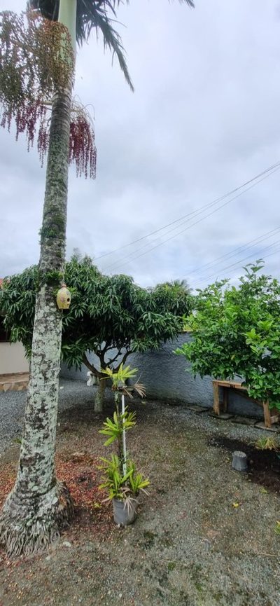 Casa, 3 quartos - Foto 5