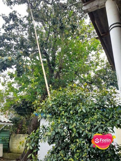 Terreno, 497 m² - Foto 4