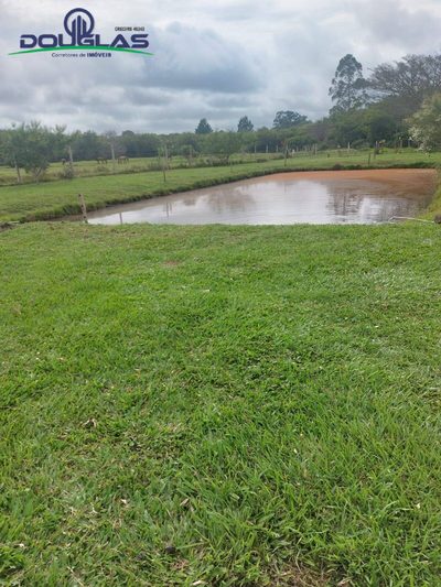 Terreno, 4500 m² - Foto 4