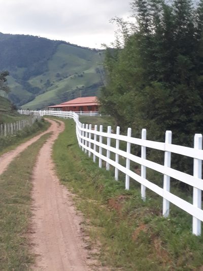 Sítio, 3 quartos, 10000 m² - Foto 5