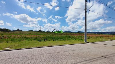 Terreno, 393 m² - Foto 3